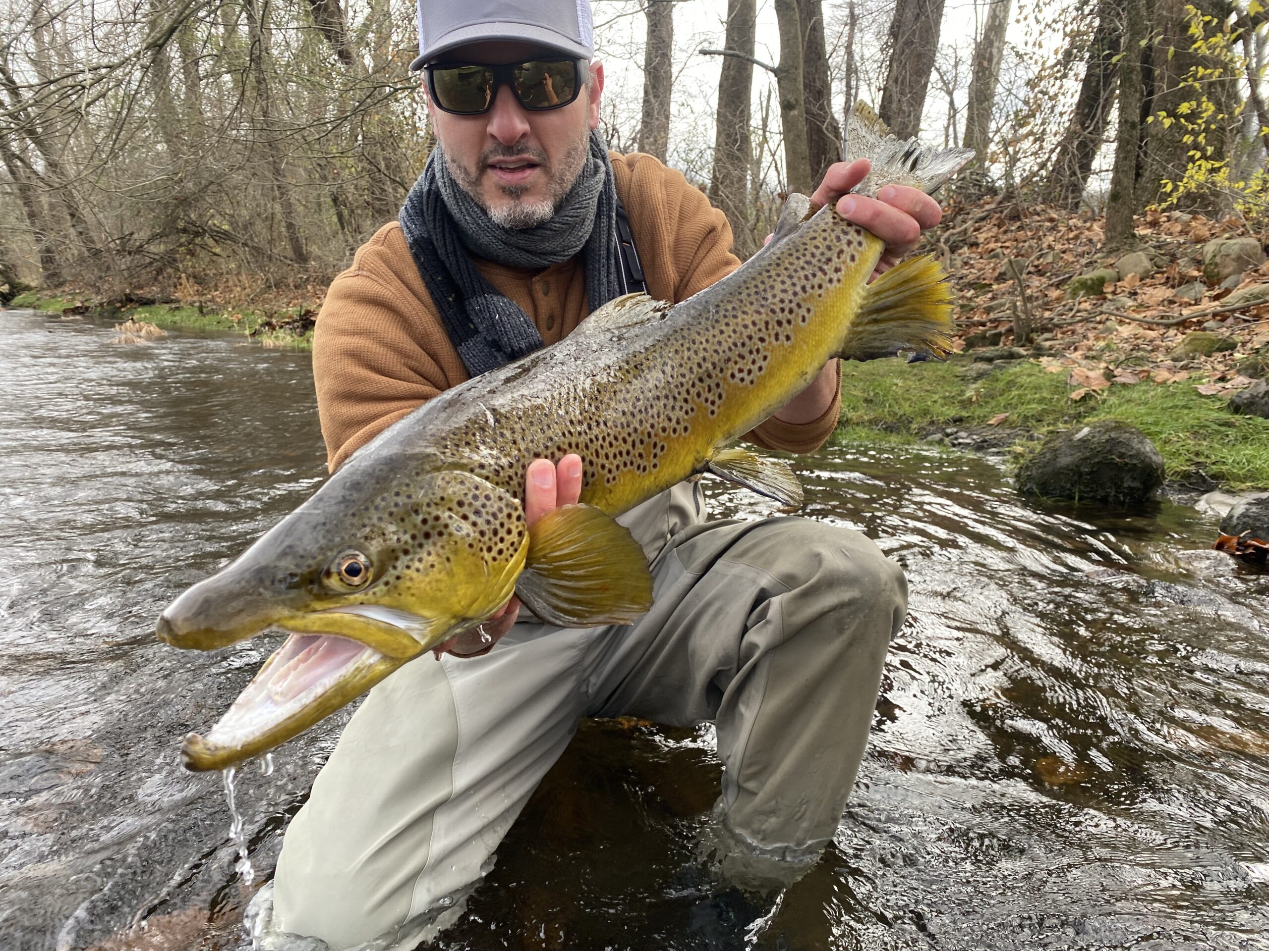 Catching Giant Brown Trout in a Small Stream (20+ Inch Wild Browns) 