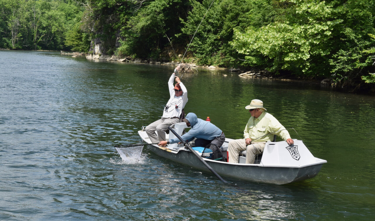 Holston River Fishing Guides | Fly Fishing Trips In VA, NC, & TN