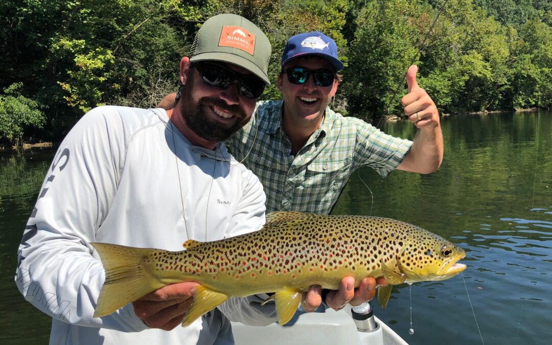 Best Time To Fly Fish The Watauga River